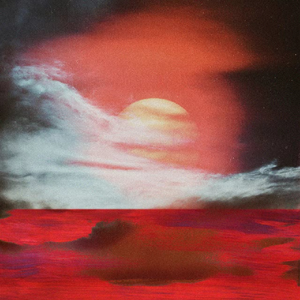 欧美大码变态另类
