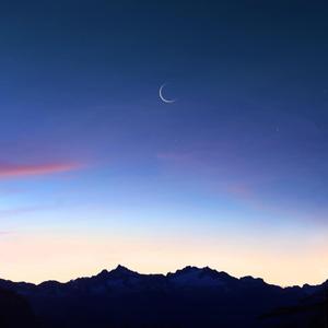 欧美大码变态另类
