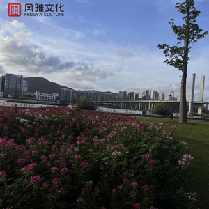 欧美大码变态另类
