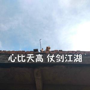 欧美大码变态另类
